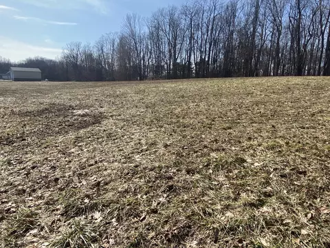 Bailey Lane, Buchanan, MI 49107 photo 9