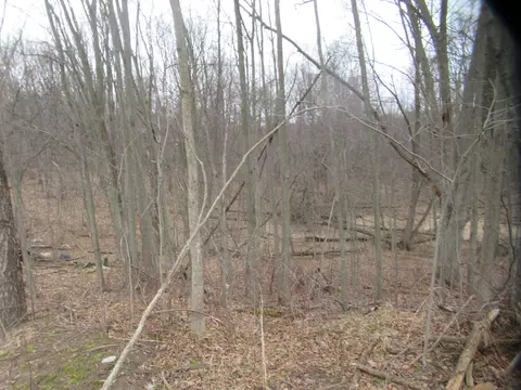 Williamsville Street, Cassopolis, MI 49031