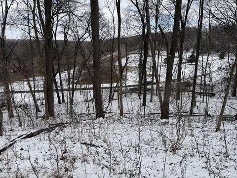 lot65 Hosford Dr, Ionia, MI 48846