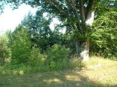 5893 W Austrian Pine Ln, Grant, MI 49327