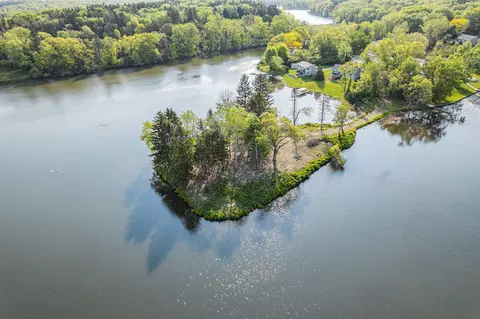 11248 Lemott Cir, Jerome, MI 49249 photo 15