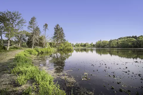 11248 Lemott Cir, Jerome, MI 49249 photo 24