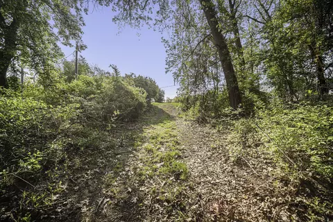 11248 Lemott Cir, Jerome, MI 49249 photo 26
