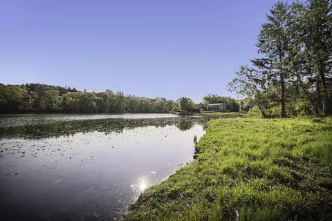 11248 Lemott Cir, Jerome, MI 49249 photo 19