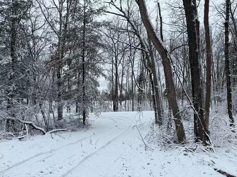 Steinberg Road, Wellston, MI 49689