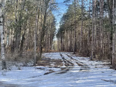 V/l Tyler Road, Lakeview, MI 48850