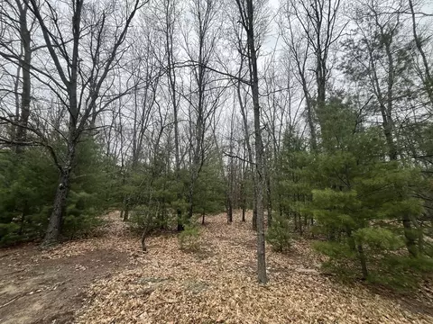 121 W Pierce Dr, White Cloud, MI 49349 photo 14