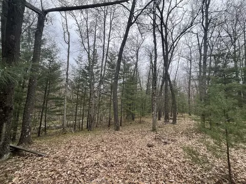 121 W Pierce Dr, White Cloud, MI 49349 photo 8