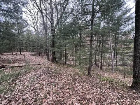 121 W Pierce Dr, White Cloud, MI 49349 photo 11
