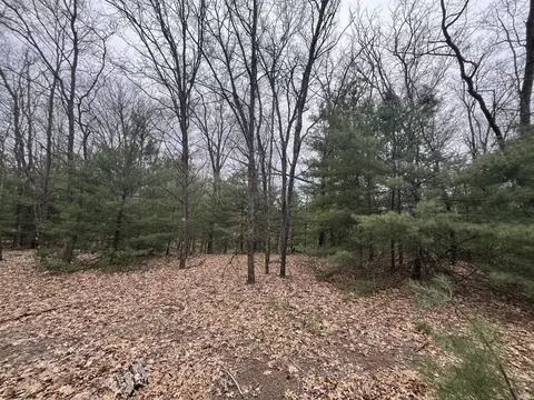 121 W Pierce Dr, White Cloud, MI 49349 photo 6