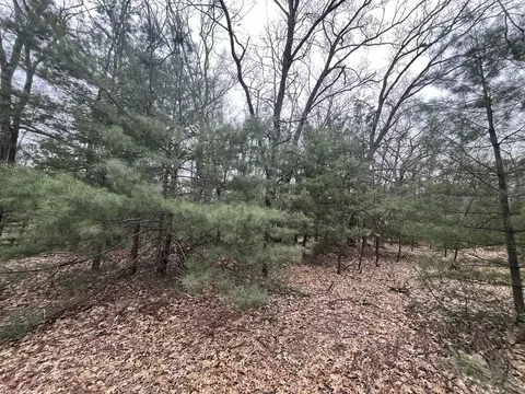 121 W Pierce Dr, White Cloud, MI 49349 photo 7