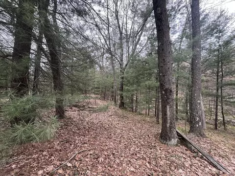 121 W Pierce Dr, White Cloud, MI 49349 photo 9