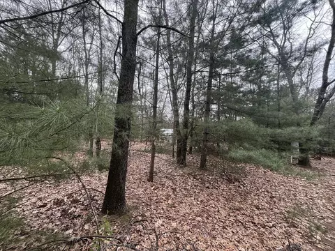 121 W Pierce Dr, White Cloud, MI 49349 photo 13