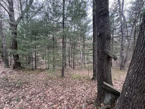 121 W Pierce Dr, White Cloud, MI 49349 photo 10