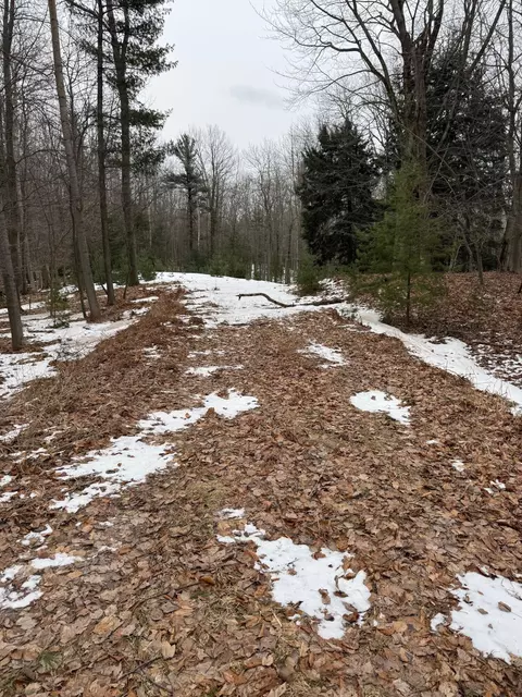 West Fox Farm Road, Manistee, MI 49660