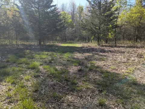 Vl 0000 108th Ave, Pullman, MI 49450 photo 10