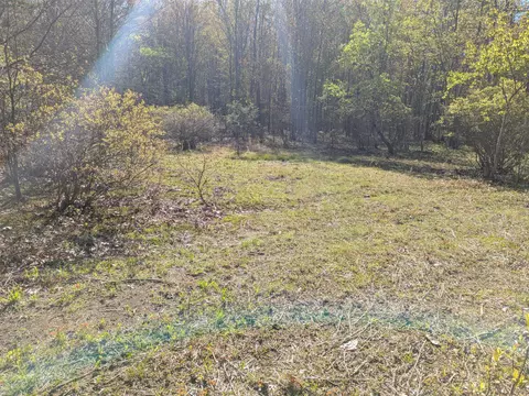 Vl 0000 108th Ave, Pullman, MI 49450 photo 9