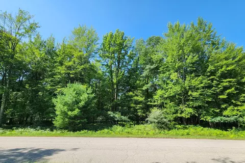 6127 Fawn Lake Dr, Canadian Lakes, MI 49346