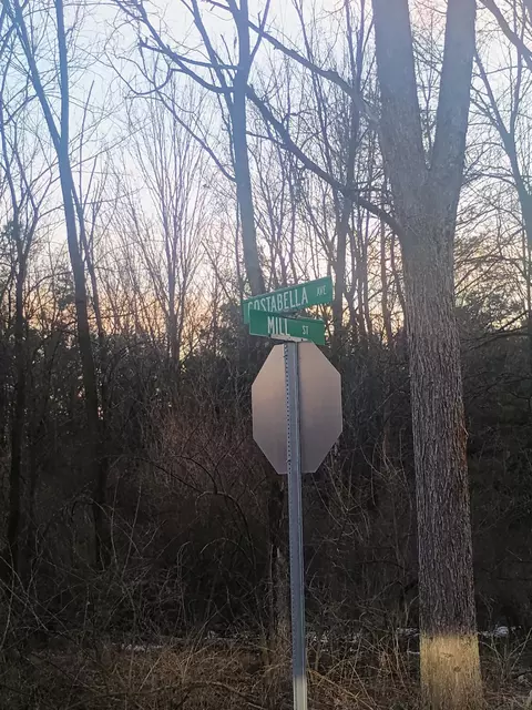 Other - 167 Mill Rd, Blanchard, MI 49310 photo 4 of 4