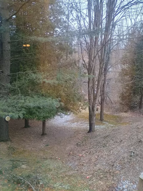 Exterior - 167 Mill Rd, Blanchard, MI 49310 photo 7 of 10