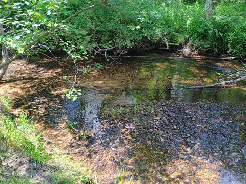 Other - 167 Mill Rd, Blanchard, MI 49310 photo 1 of 4