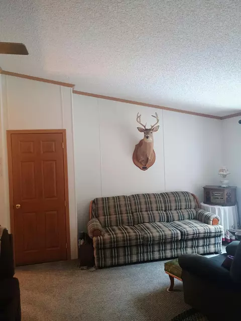 Living - 167 Mill Rd, Blanchard, MI 49310 photo 1 of 1