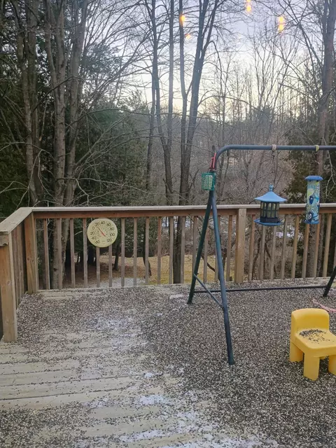 Exterior - 167 Mill Rd, Blanchard, MI 49310 photo 8 of 10