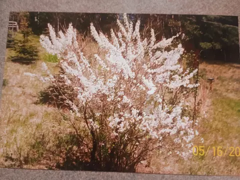Other - 167 Mill Rd, Blanchard, MI 49310 photo 3 of 4