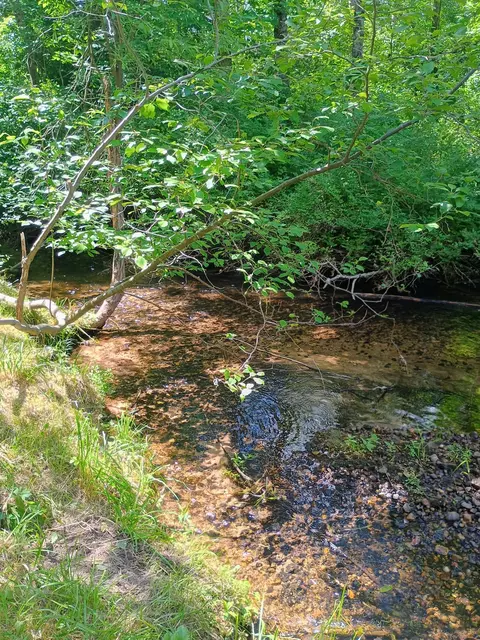 Other - 167 Mill Rd, Blanchard, MI 49310 photo 2 of 4