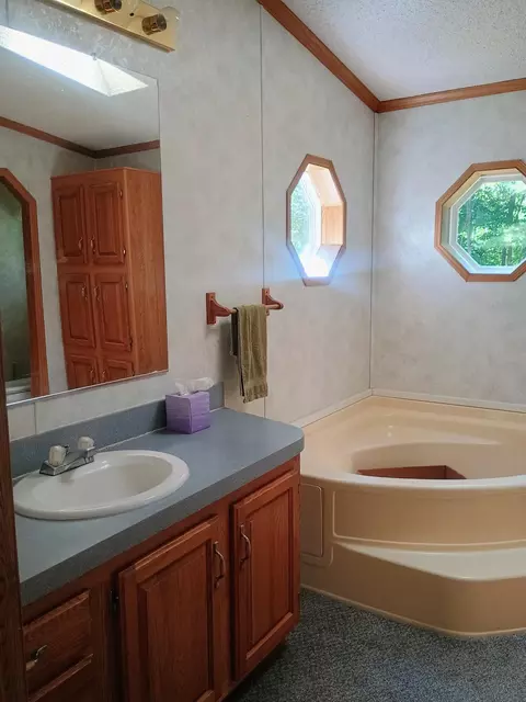 Other - 167 Mill Rd, Blanchard, MI 49310 photo 6 of 10