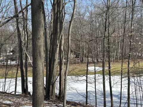 9570 Pere Marquette Dr #10, Canadian Lakes, MI 49346