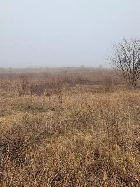 62 Nd St, Fennville, MI 49408