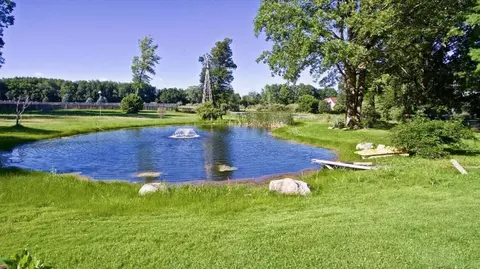 11640 W Monroe Rd, Riverdale, MI 48877