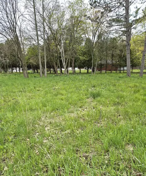 00 Mill St, Onekama, MI 49675 photo 3