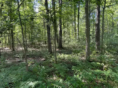 3250 W Isabella Rd, Shepherd, MI 48883