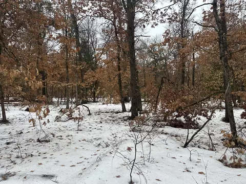 00 S Stanberry, Baldwin, MI 49304 photo 3