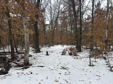 00 S Stanberry, Baldwin, MI 49304
