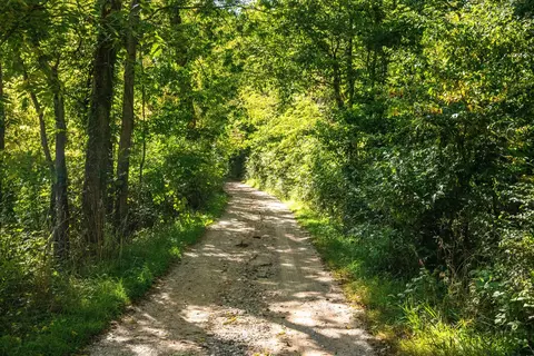 667 Pierce Rd, Plainwell, MI 49080