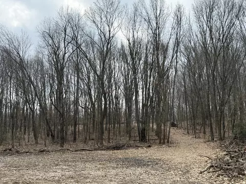 V/l Yawger Road, Battle Creek, MI 49017