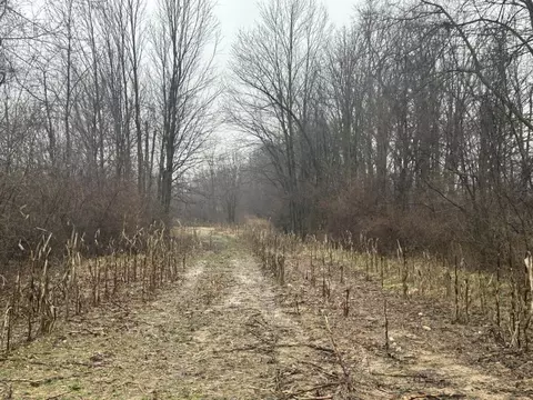 s hillsdale road, Hillsdale, MI 49242