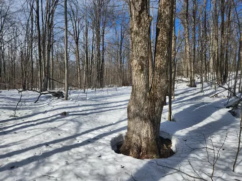 Valleyridge Circle, Alba, MI 49611