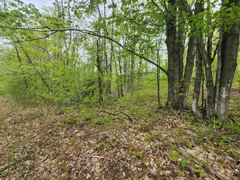 Valleyridge Circle, Alba, MI 49611