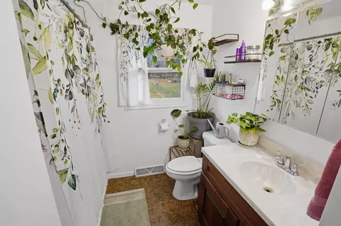 Bath - 109 Libhart St, Lyons, MI 48851 photo 1 of 4