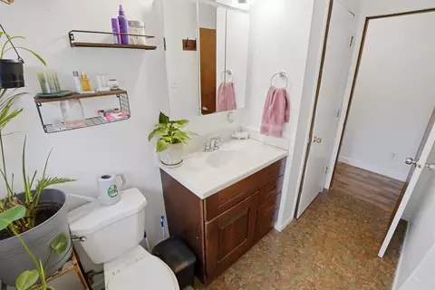 Bath - 109 Libhart St, Lyons, MI 48851 photo 2 of 4