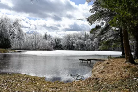 9828 Pontiac Trl, Evart, MI 49631