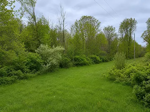 8400 Kruger Rd, Three Oaks, MI 49128 photo 6