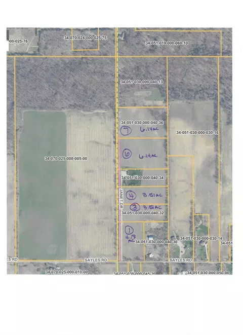 V/l Janet Dr Parcel 1, Saranac, MI 48881