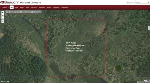 N Dorr Road, Merritt, MI 49667