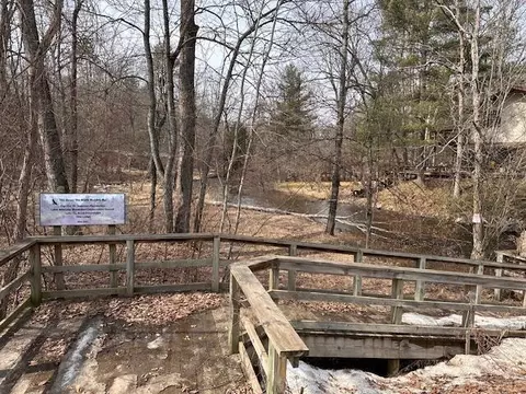 View/Area - 8034 N Johnson Rd, Irons, MI 49644 photo 5 of 5