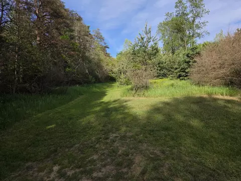 1138 N Thornapple Ave, White Cloud, MI 49349 photo 4